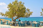 JustGreece.com Plaka Naxos - Cyclades Greece - nr 3 - Foto van JustGreece.com