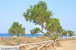 JustGreece.com Plaka Naxos - Cyclades Greece - nr 34 - Foto van JustGreece.com