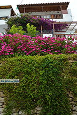 JustGreece.com Potamia Naxos - Cyclades Greece - nr 11 - Foto van JustGreece.com