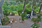Potamia Naxos - Cyclades Greece - nr 19 - Photo JustGreece.com