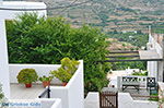JustGreece.com Potamia Naxos - Cyclades Greece - nr 24 - Foto van JustGreece.com