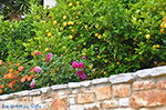 JustGreece.com Potamia Naxos - Cyclades Greece - nr 27 - Foto van JustGreece.com