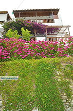 JustGreece.com Potamia Naxos - Cyclades Greece - nr 32 - Foto van JustGreece.com