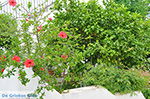 JustGreece.com Potamia Naxos - Cyclades Greece - nr 33 - Foto van JustGreece.com