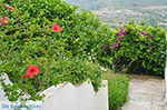 JustGreece.com Potamia Naxos - Cyclades Greece - nr 34 - Foto van JustGreece.com