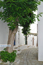 JustGreece.com Potamia Naxos - Cyclades Greece - nr 35 - Foto van JustGreece.com