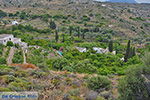 JustGreece.com Potamia Naxos - Cyclades Greece - nr 53 - Foto van JustGreece.com