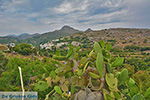 Potamia Naxos - Cyclades Greece - nr 56 - Photo JustGreece.com