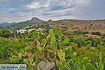 Potamia Naxos - Cyclades Greece - nr 57 - Photo JustGreece.com