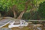 JustGreece.com Potamia Naxos - Cyclades Greece - nr 82 - Foto van JustGreece.com