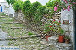 JustGreece.com Potamia Naxos - Cyclades Greece - nr 94 - Foto van JustGreece.com