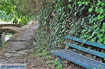 JustGreece.com Potamia Naxos - Cyclades Greece - nr 99 - Foto van JustGreece.com