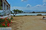 JustGreece.com Stelida Naxos - Cyclades Greece - nr  7 - Foto van JustGreece.com