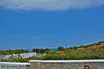 JustGreece.com Stelida Naxos - Cyclades Greece - nr  9 - Foto van JustGreece.com