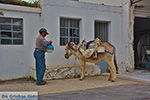 Vivlos Naxos - Cyclades Greece - nr 10 - Photo JustGreece.com