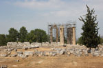 Nemea Corinth | Peloponnese | Greece Photo 24 - Photo JustGreece.com