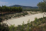 JustGreece.com Nemea Corinth | Peloponnese | Greece Photo 39 - Foto van JustGreece.com