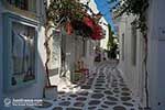 Parikia Paros - Cyclades -  Photo 46 - Photo JustGreece.com