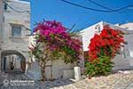 Parikia Paros - Cyclades -  Photo 50 - Photo JustGreece.com