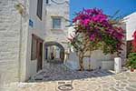 Parikia Paros - Cyclades -  Photo 51 - Photo JustGreece.com