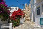 Parikia Paros - Cyclades -  Photo 52 - Photo JustGreece.com