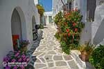 Parikia Paros - Cyclades -  Photo 62 - Photo JustGreece.com