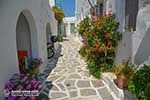 JustGreece.com Parikia Paros - Cyclades -  Photo 62 - Foto van JustGreece.com
