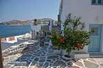 JustGreece.com Parikia Paros - Cyclades -  Photo 70 - Foto van JustGreece.com