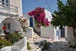 Parikia Paros - Cyclades -  Photo 71 - Photo JustGreece.com