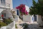 JustGreece.com Parikia Paros - Cyclades -  Photo 71 - Foto van JustGreece.com