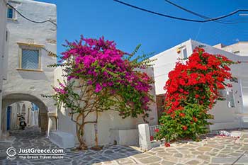 Parikia Paros - Cyclades -  Photo 50 - Foto van JustGreece.com