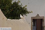 Chora - Island of Patmos - Greece  Photo 41 - Photo JustGreece.com