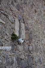Chora - Island of Patmos - Greece  Photo 65 - Photo JustGreece.com