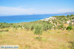 Koilada (Kilada) | Argolida (Argolis) Peloponnese | Greece Photo 17 - Photo JustGreece.com