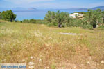 Koilada (Kilada) | Argolida (Argolis) Peloponnese | Greece Photo 23 - Photo JustGreece.com