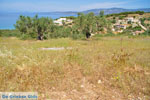 Koilada (Kilada) | Argolida (Argolis) Peloponnese | Greece Photo 24 - Foto van JustGreece.com