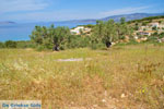 Koilada (Kilada) | Argolida (Argolis) Peloponnese | Greece Photo 25 - Foto van JustGreece.com