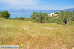 Koilada (Kilada) | Argolida (Argolis) Peloponnese | Greece Photo 26 - Photo JustGreece.com