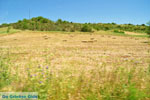 Near old Epidavros | Argolida (Argolis) Peloponnese | Greece Photo 1 - Photo JustGreece.com