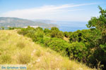 Near old Epidavros | Argolida (Argolis) Peloponnese | Greece Photo 2 - Photo JustGreece.com