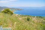 Near old Epidavros | Argolida (Argolis) Peloponnese | Greece Photo 8 - Photo JustGreece.com