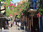 Nafplion - Argolida (Argolis) - Peloponnese - Photo 59 - Photo JustGreece.com