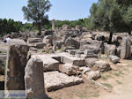 Olympia (Elia) Greece - Greece  - Photo 28 - Photo JustGreece.com