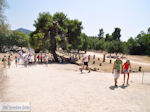 Olympia (Elia) Greece - Greece  - Photo 38 - Photo JustGreece.com