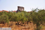 Agios Nikolaos in Mani | Messenia Peloponnese | Photo 2 - Photo JustGreece.com