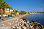 JustGreece.com Petalidi | Messenia Peloponnese | Greece  4 - Foto van JustGreece.com