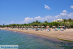 JustGreece.com Gialova | Messenia Peloponnese | Photo 1 - Foto van JustGreece.com