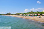 JustGreece.com Gialova | Messenia Peloponnese | Photo 3 - Foto van JustGreece.com