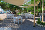 JustGreece.com Gialova | Messenia Peloponnese | Photo 9 - Foto van JustGreece.com