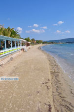 JustGreece.com Gialova | Messenia Peloponnese | Photo 11 - Foto van JustGreece.com